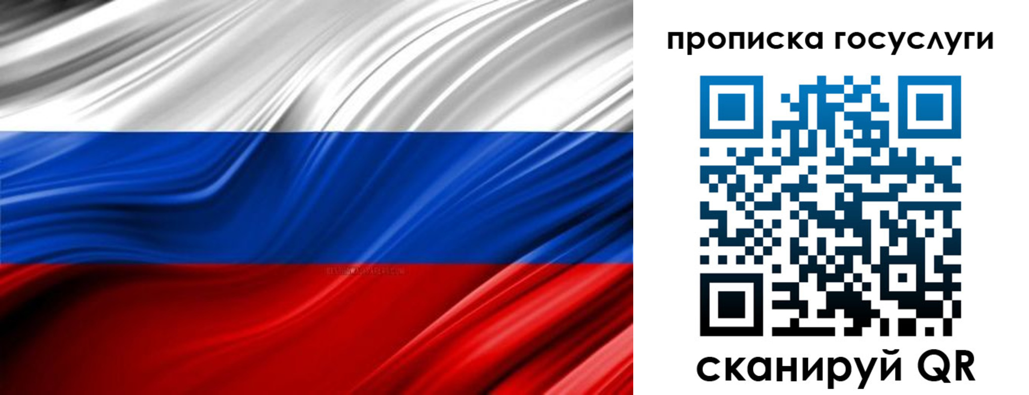 прописка паспорт в Кингисеппе