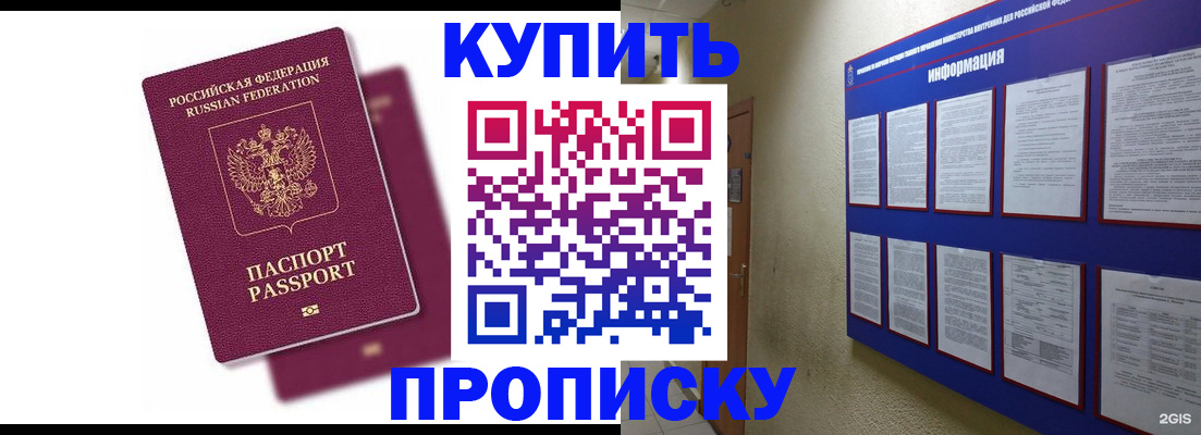 купить прописку в Кингисеппе